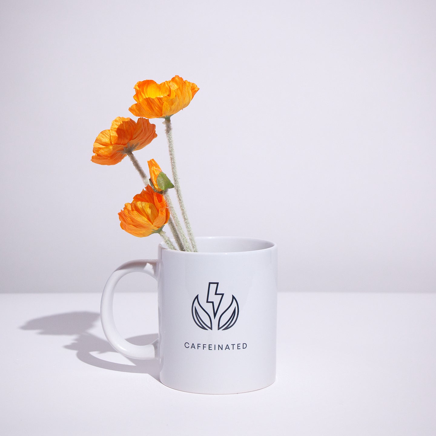 Caffeinated Mug