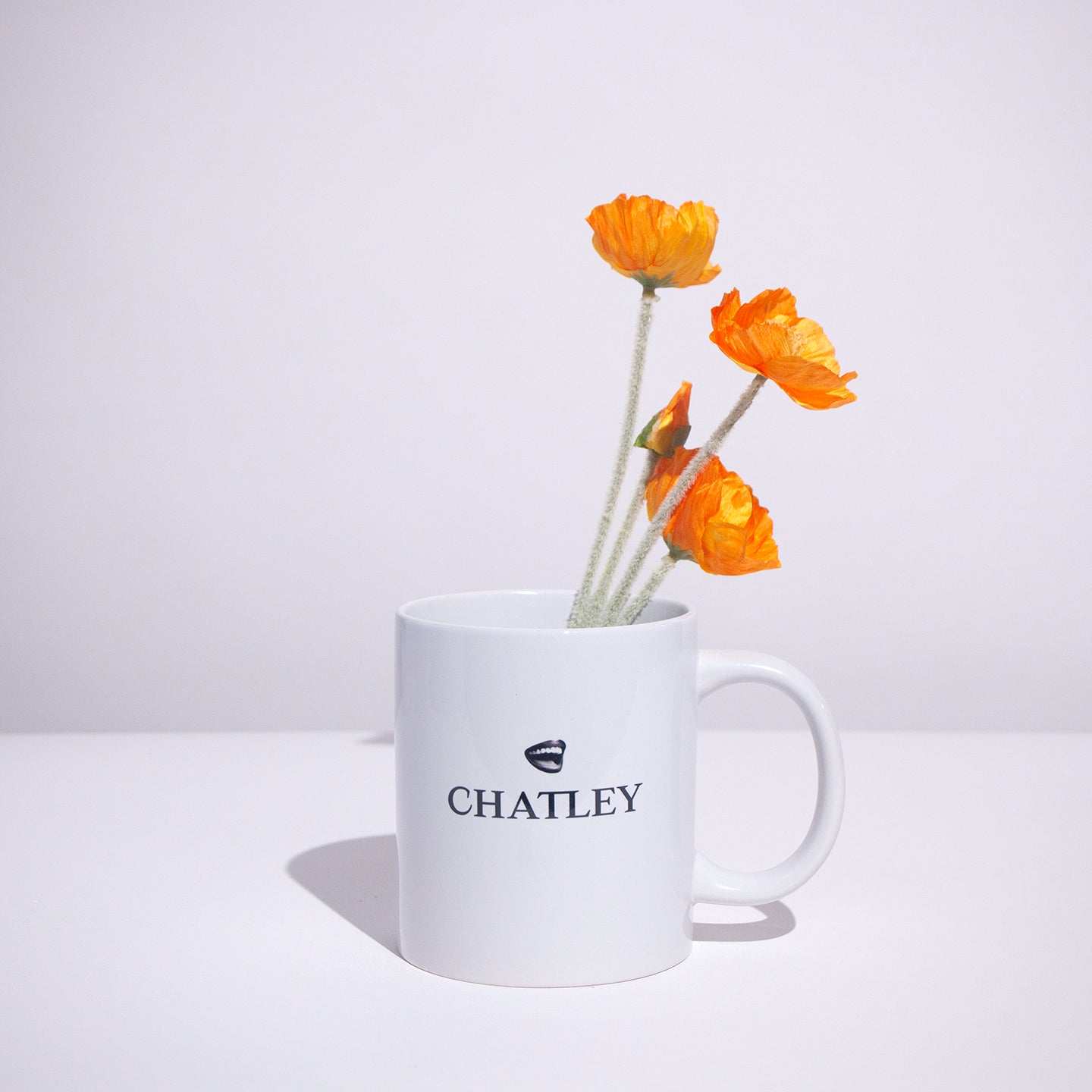 Caffeinated Mug