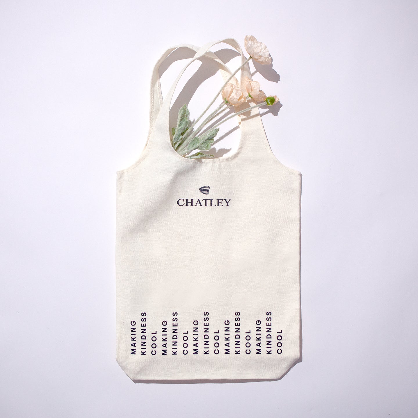 Making Kindness Cool Bag