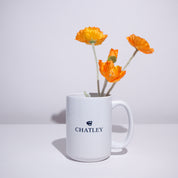 Caffeinated Mug