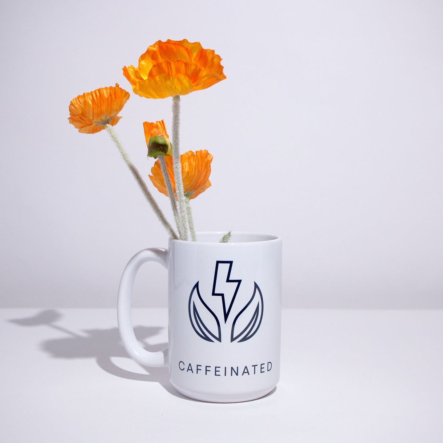 Caffeinated Mug