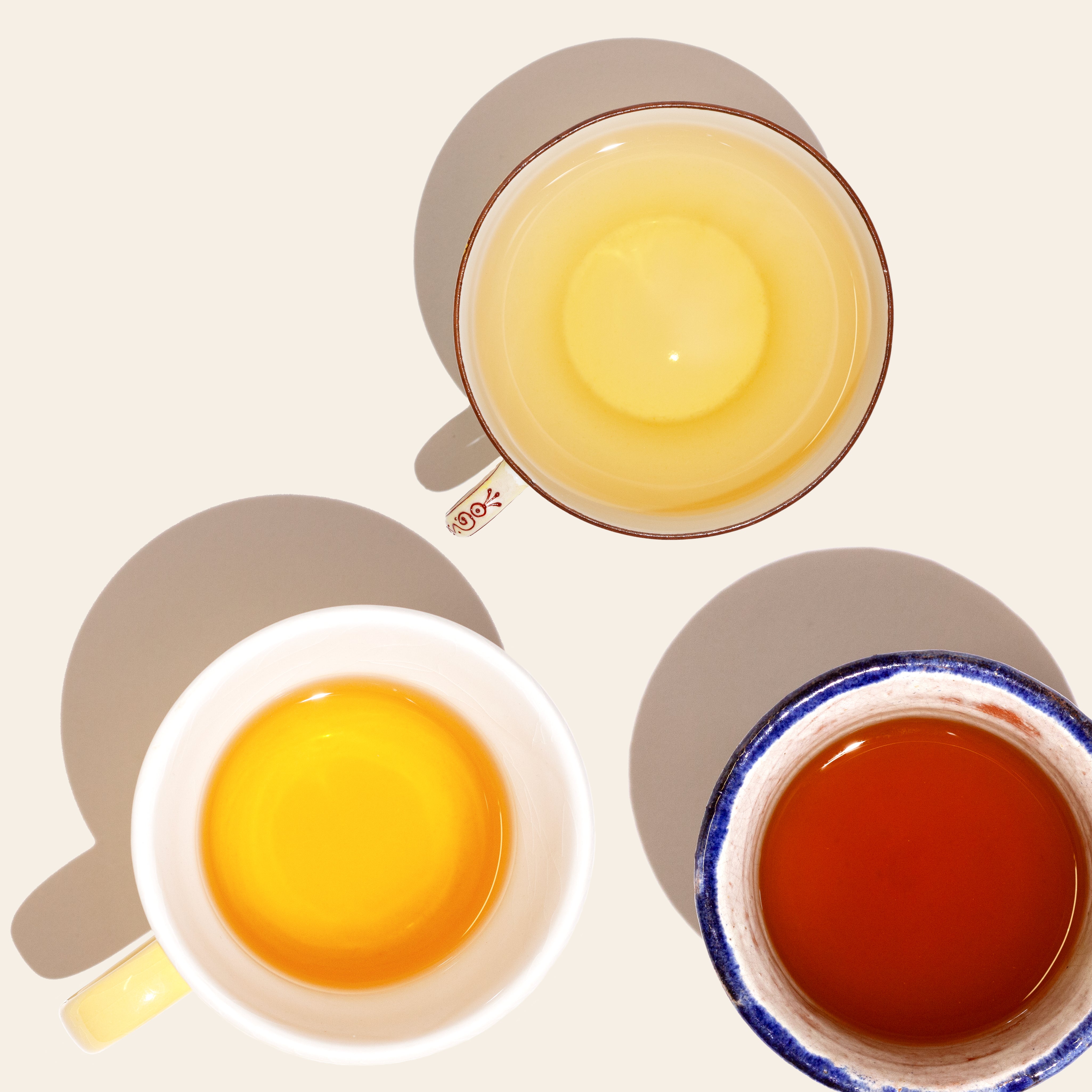 The Herbal Edit
